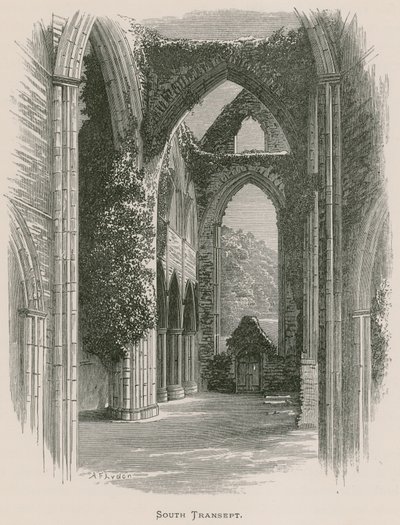 Abadía de Tintern, Transepto Sur de Alexander Francis Lydon